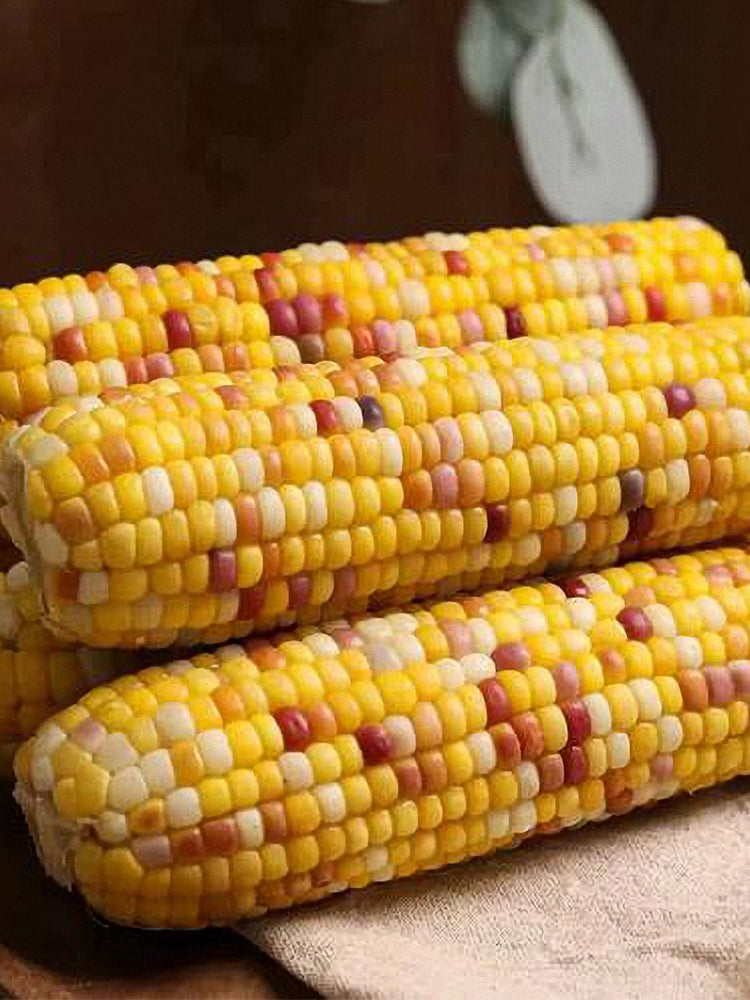 Colorful Glutinous Corn
