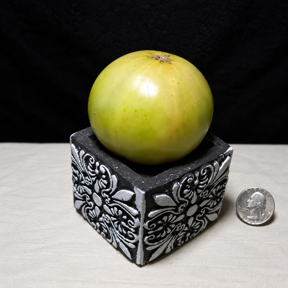 251 Dwarf Grinch Tomato