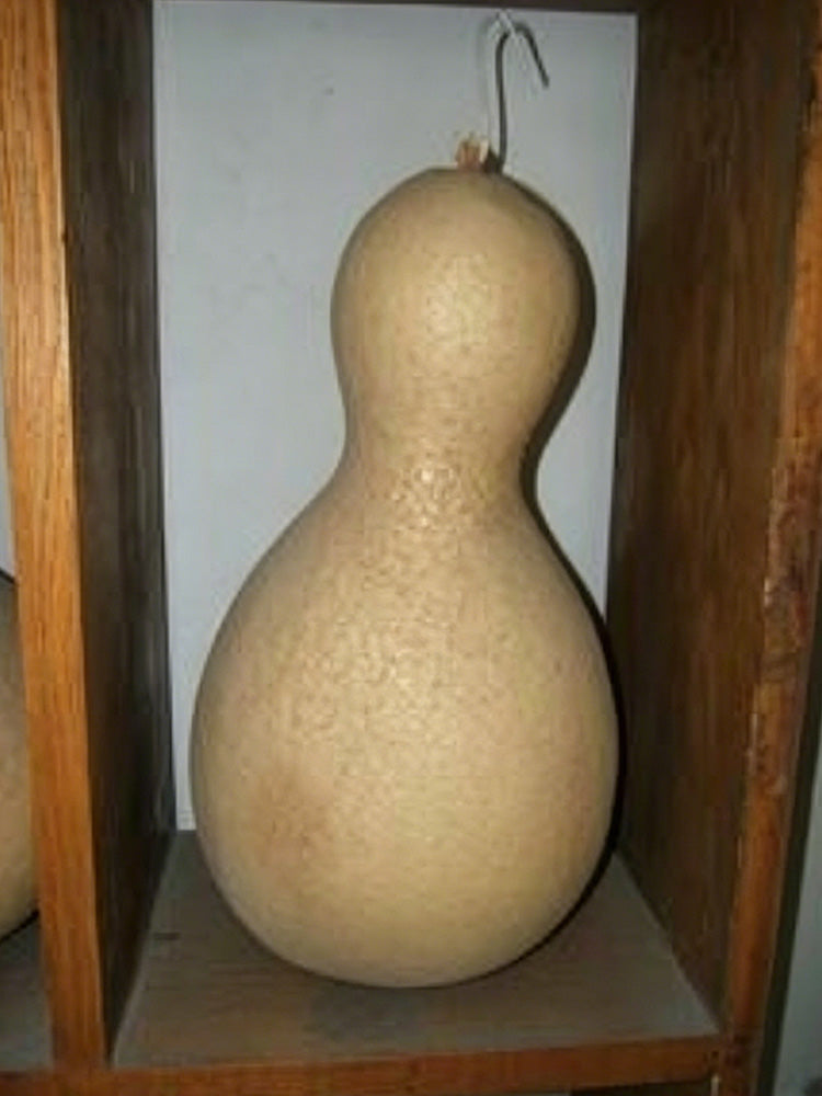 Xinjiang Bottle Gourd