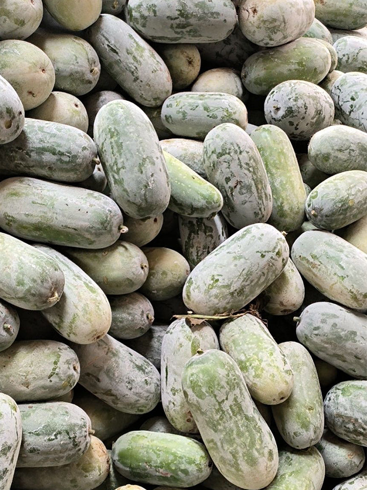 Taiwan Small Wax Gourds