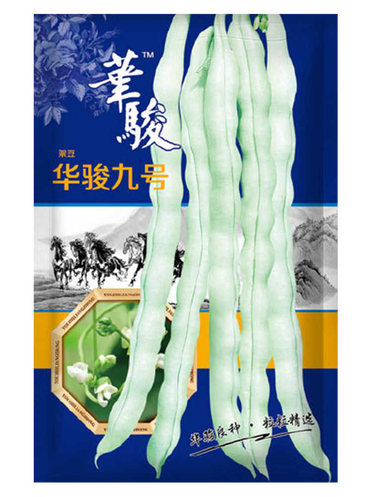 Huajun No.9 Kidney Beans