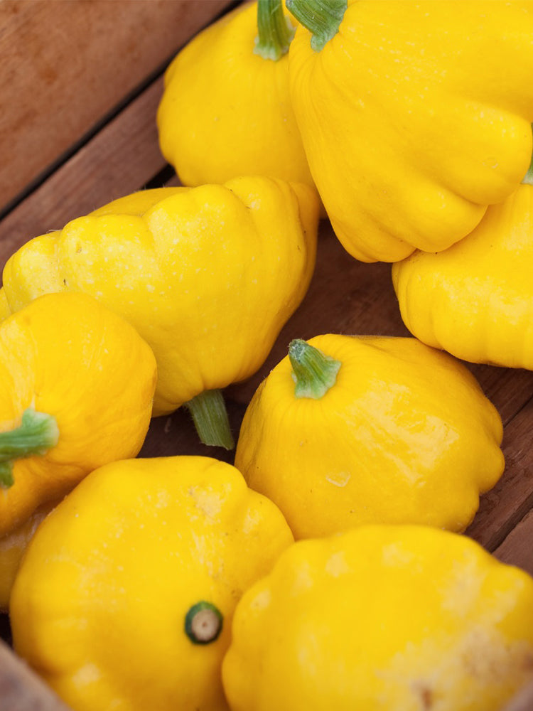 Yellow Patty Pan Squash