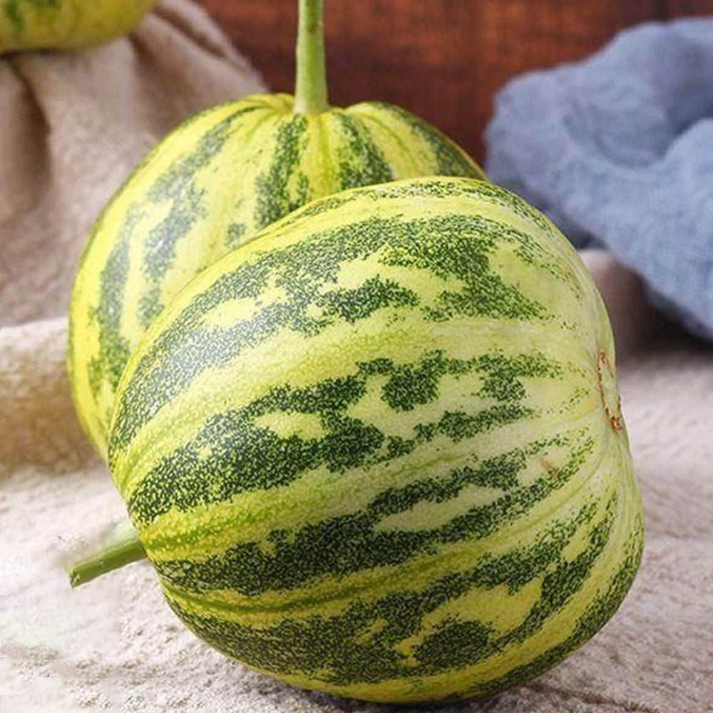 5 Bags (50 Seeds / Bag) of 'Flower Fairy' Melon Seeds, Hybrid F1 Aromatic Sweet Melon