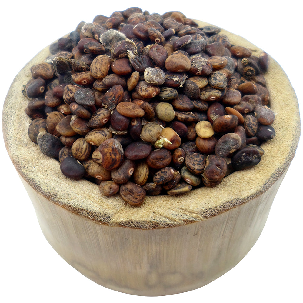 Bellfarm® Pueraria lobata Kudzu Seeds