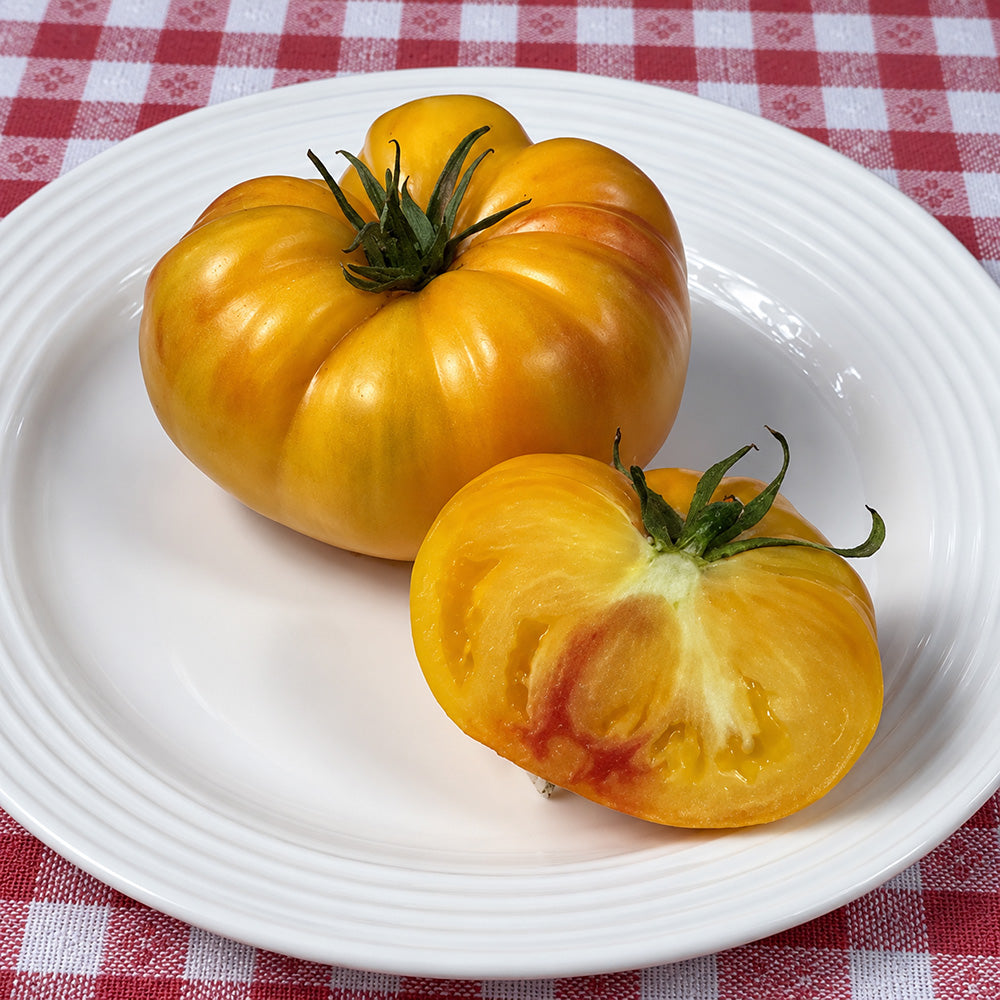 322 Mortgage Lifter Bi-Color Tomato