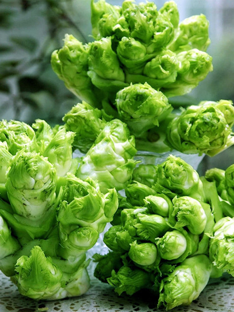 Keguang Baby Mustard Greens