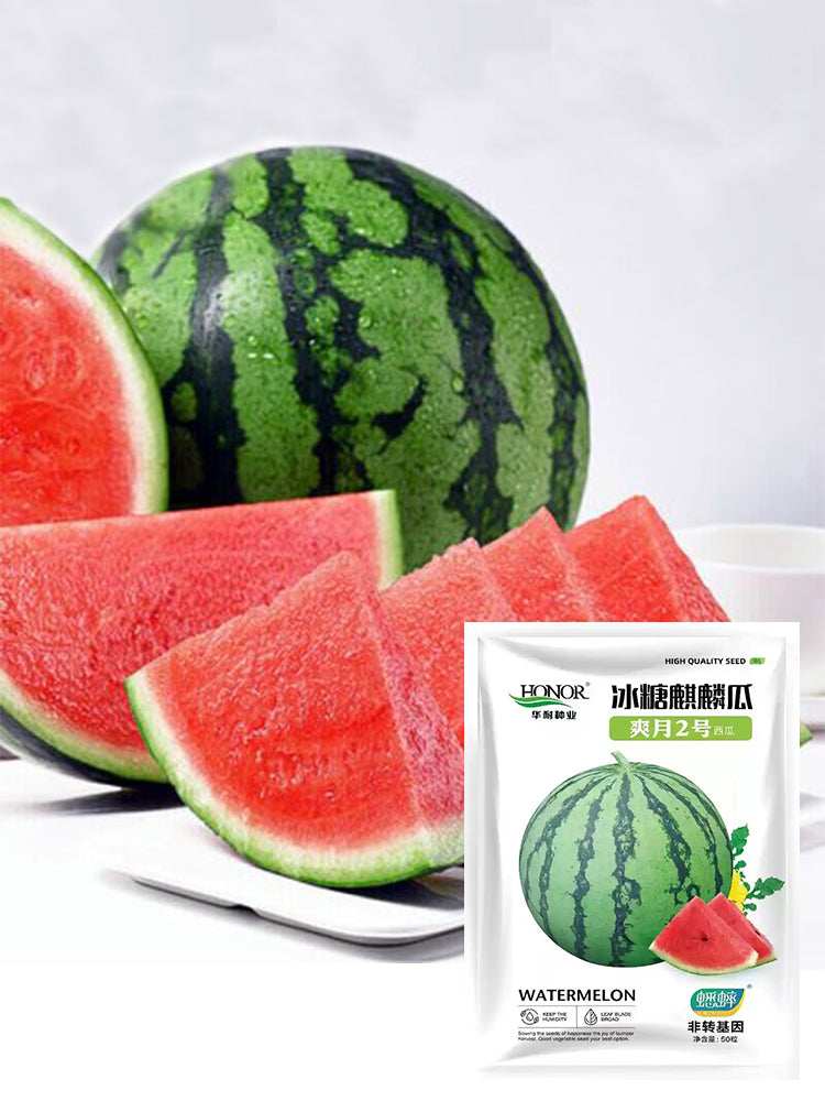 Rock Sugar Kirin No.2 Watermelon