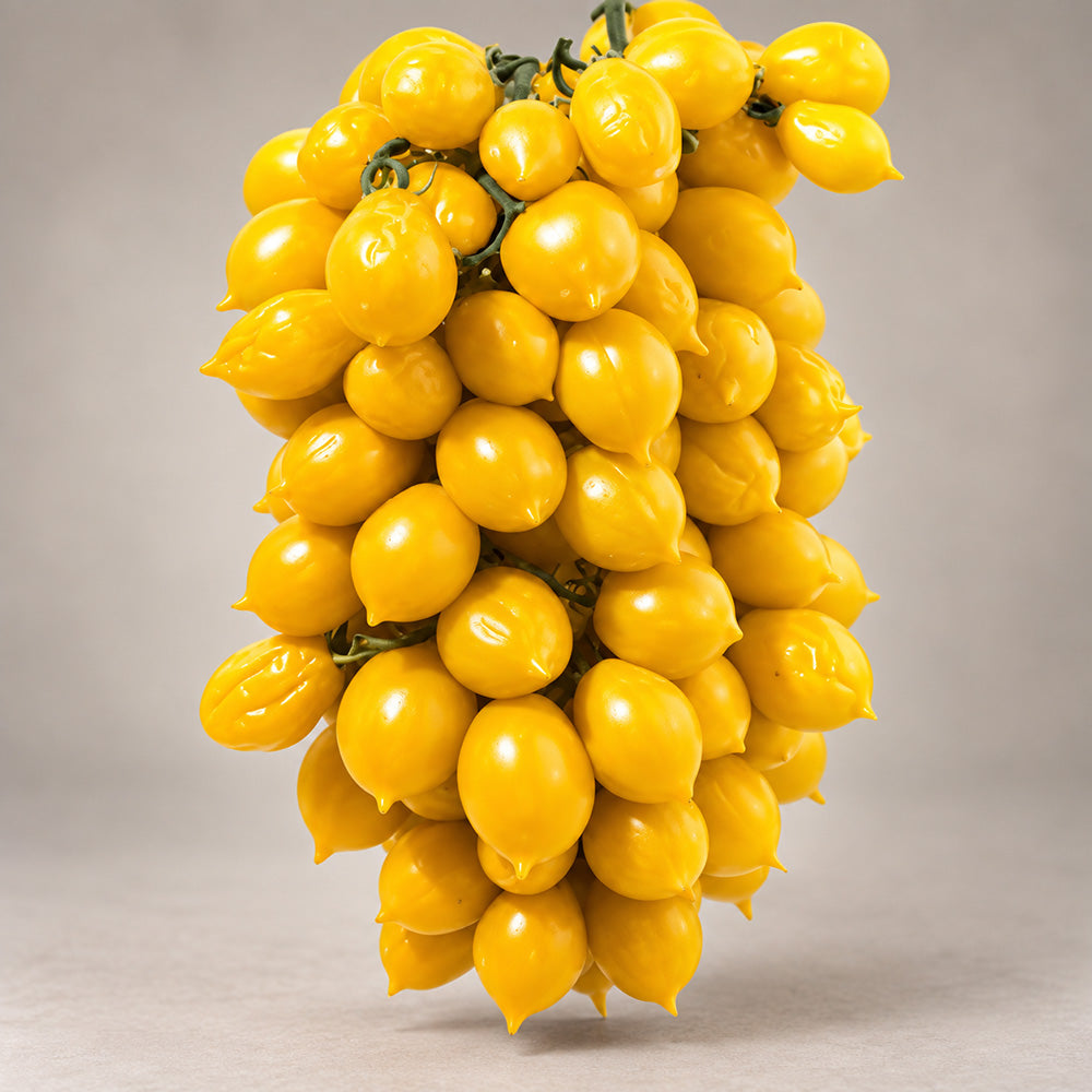 430 Piennolo del Vesuvio Giallo Tomato