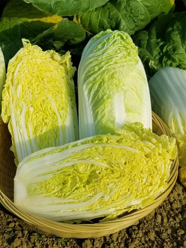 Huanai Baby Pak Choy