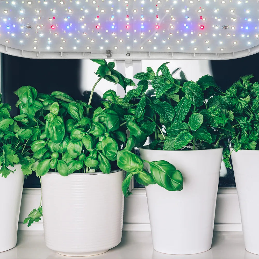 45x19x45CM Table Plant LED Grow Light with Tray with 4 Dimmable Levels