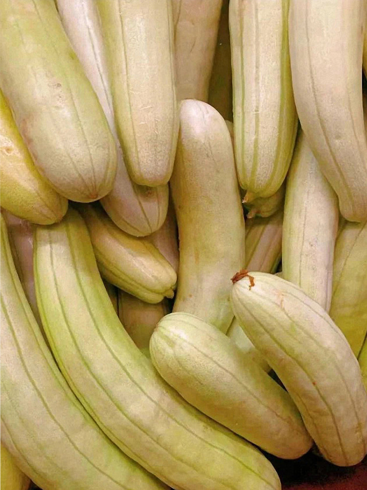 Ketian Brand White-Veined White Melons