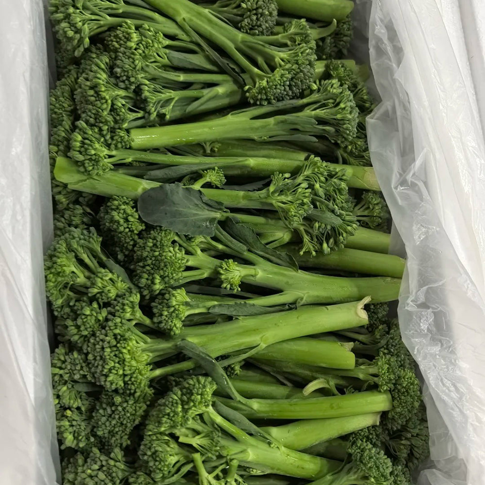 W962 Jie Mei Sprouting Broccoli
