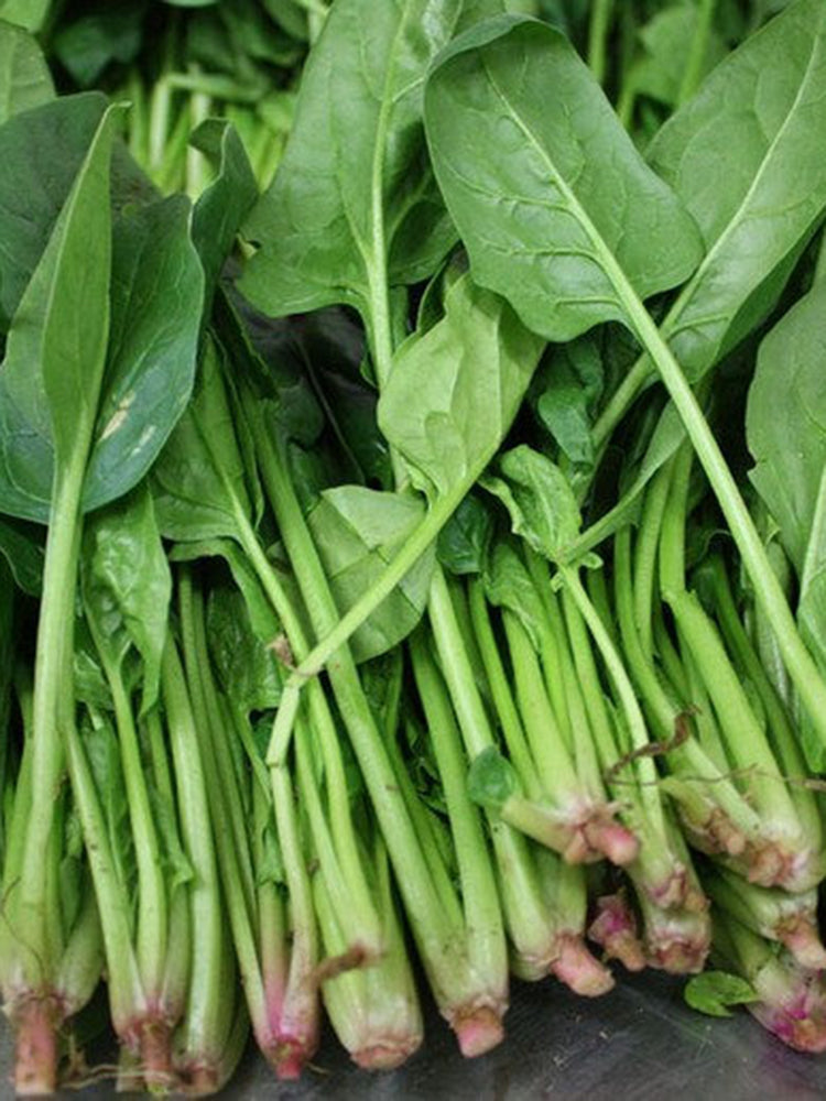 Four Seasons Spinach