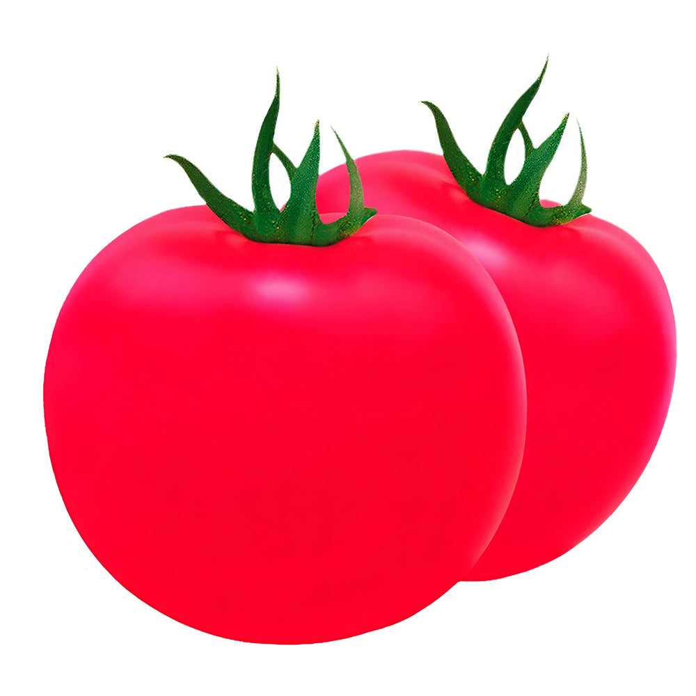 Elegance in Pink: 5 Bags (200 Seeds / Bag) of 'Fluffy Pink 802' Tomatoes