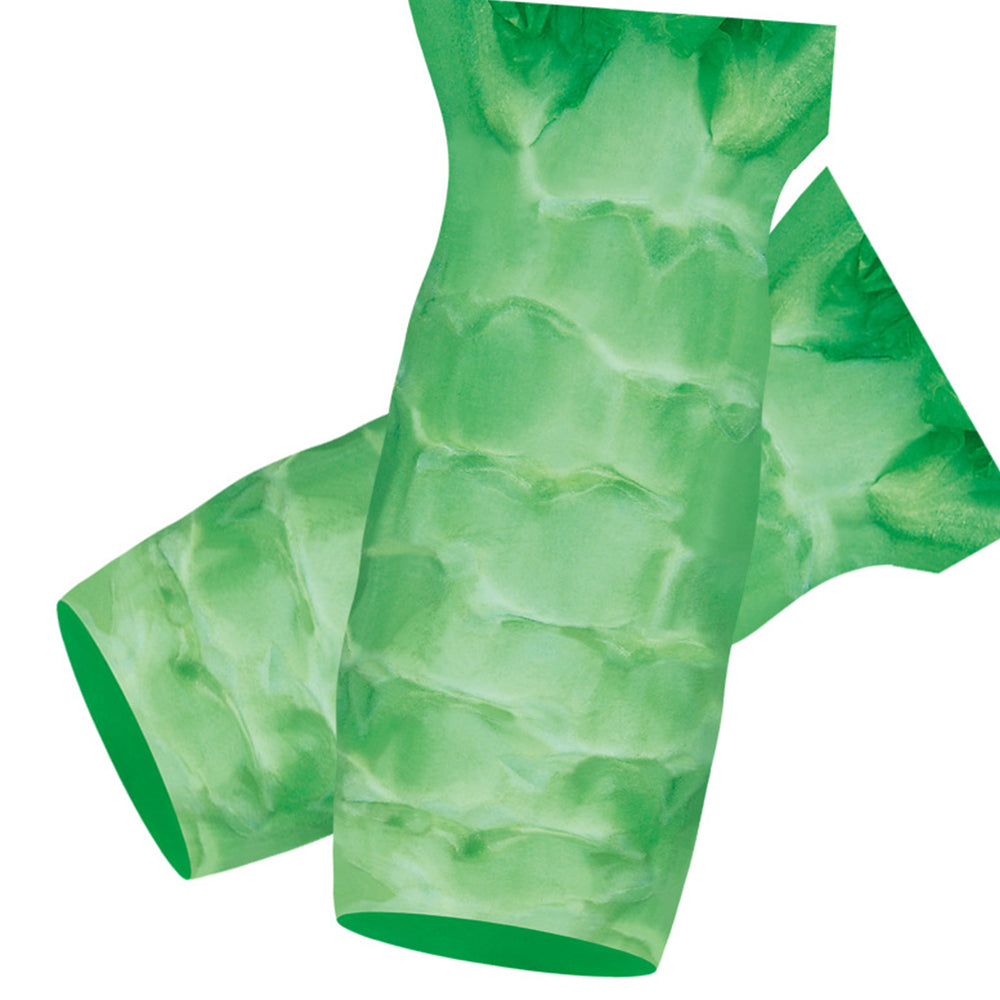 5 Bags (3000 Seeds / Bag) Green Asparagus Lettuce Seeds