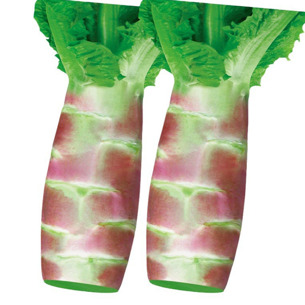 5 Bags (2000 Seeds / Bag) Red Asparagus Lettuce Seeds