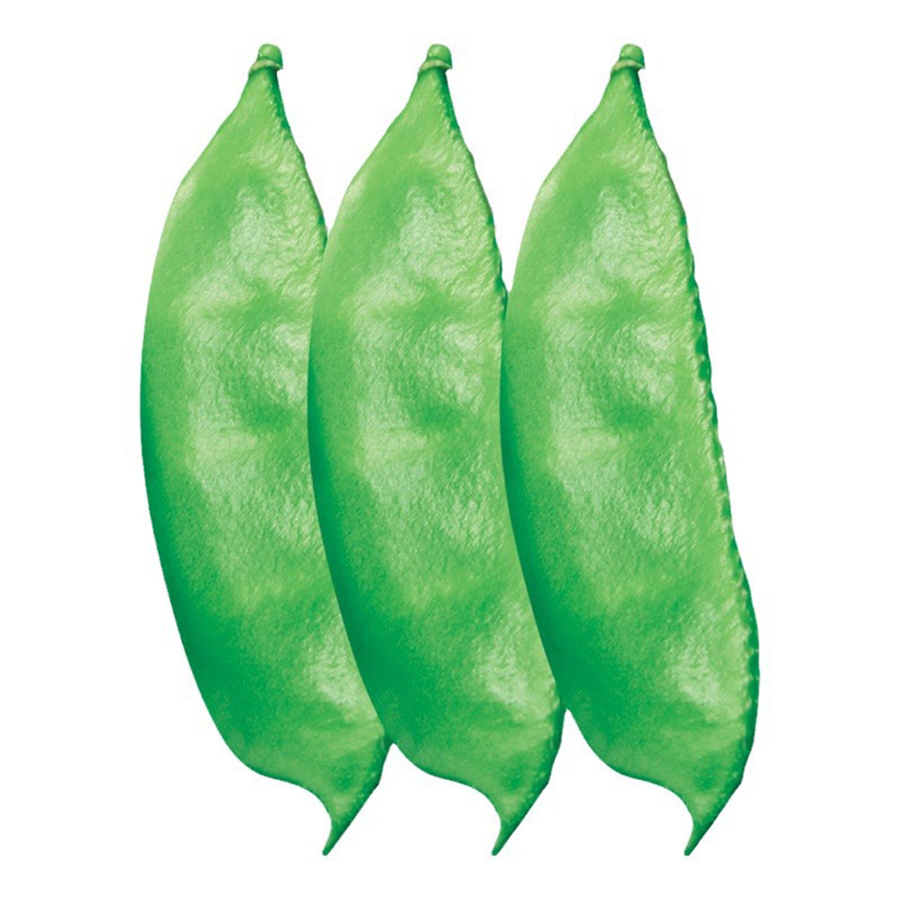 Refreshing Green Hues: 5 Bags (10 Seeds / Bag) of Hyacinth Bean
