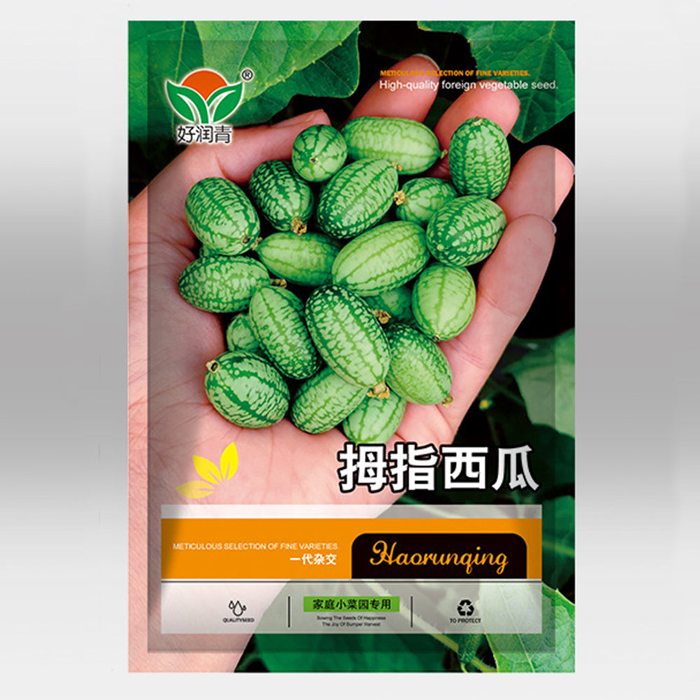 5 Bags (50 Seeds / Bag) of Cucamelons Seeds, Mexican Sour Gherkins