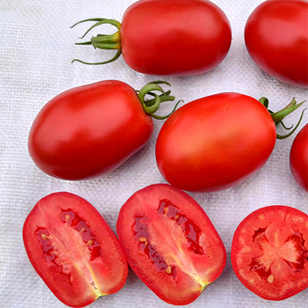 Jam Selection: 5 Bags (200 Seeds / Bag) of Top-Performing Salad Tomatoes