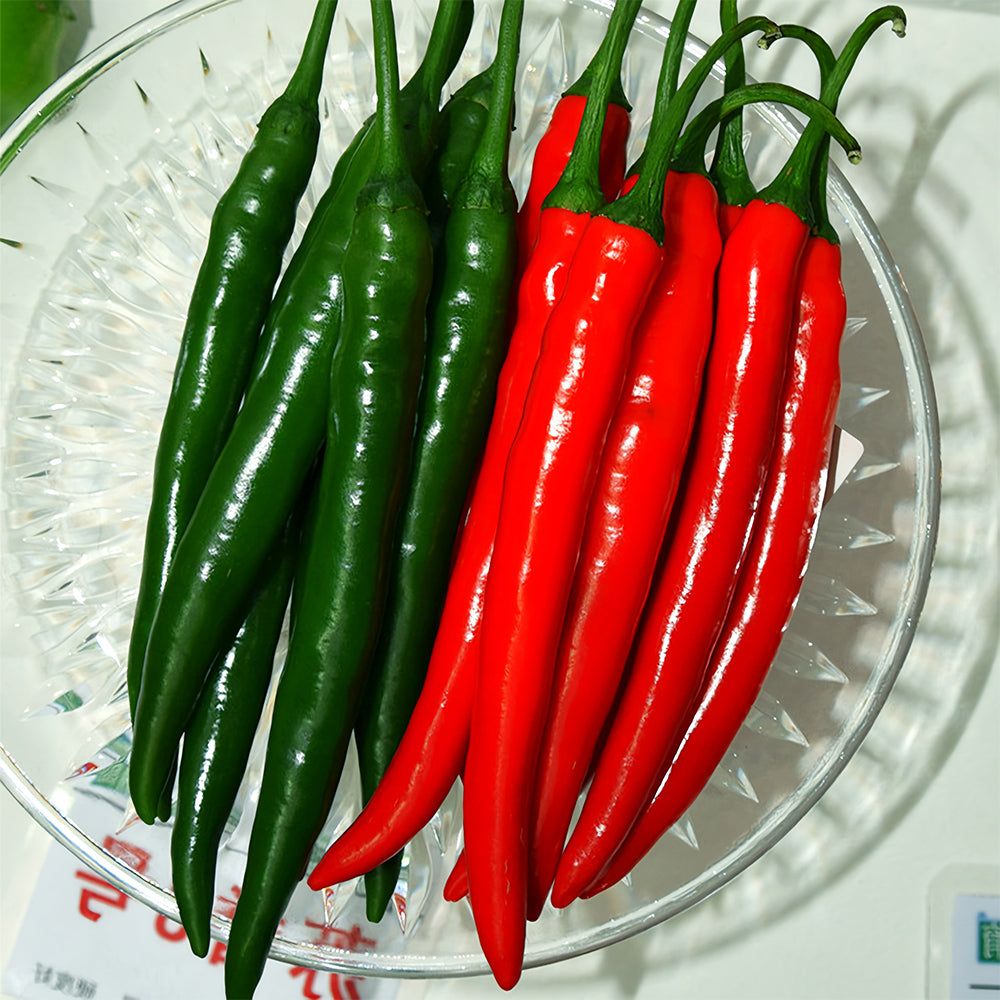 Flame-kissed Delight: 5 Bags (200 Seeds/Bag) of Red Hot Chili Pepper Seeds