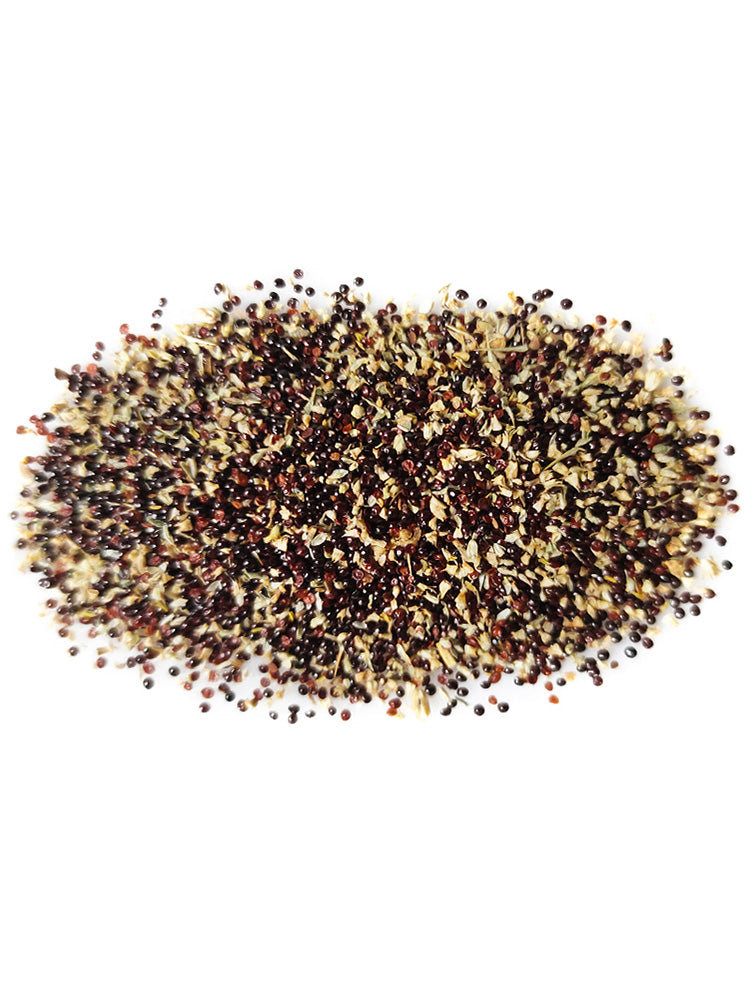 Spiny Amaranth (Amaranthus spinosus)