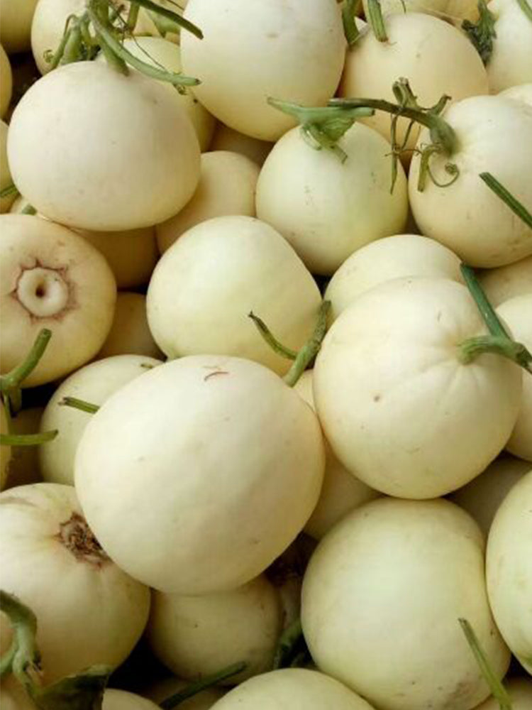 White Honey Melon