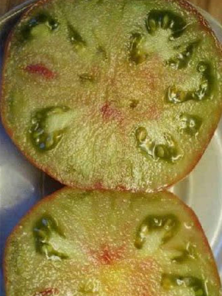 Muddy Mamba Tomato