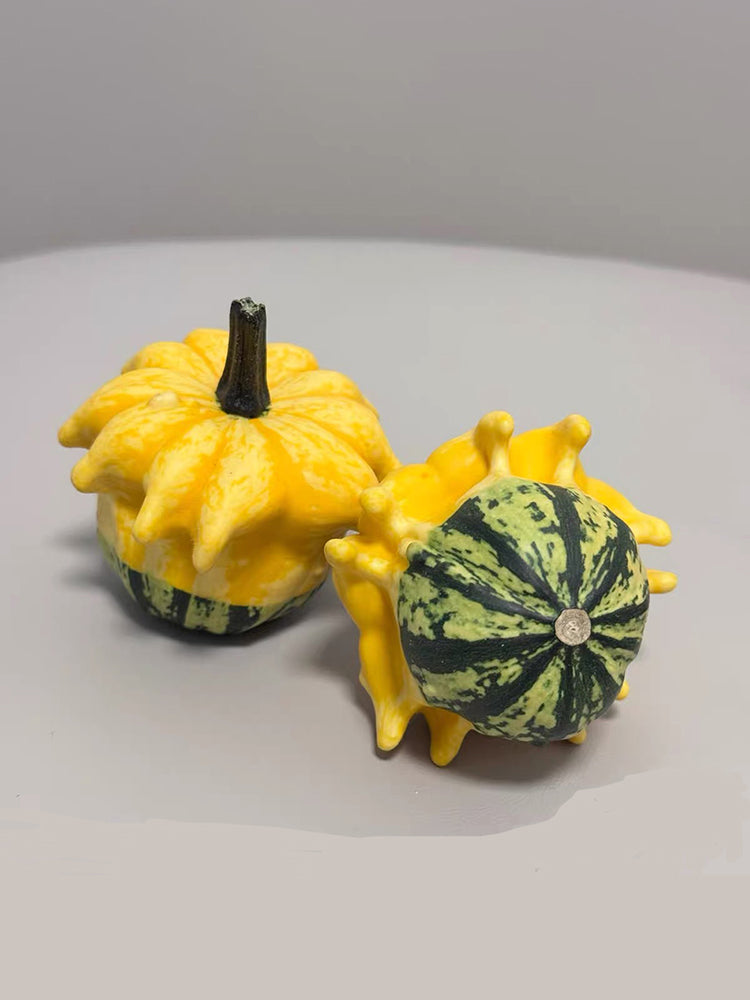 Crown of Thorns Gourd