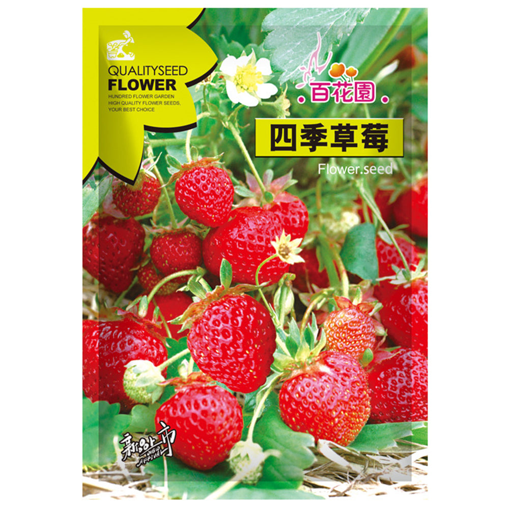 5 Bags (200 Seeds / Bag) of 'Medelet' Series Red Strawberry