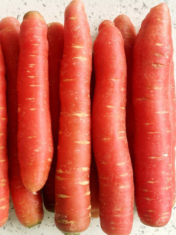 'Beauty Finger' Carrot