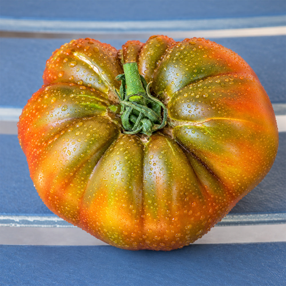 187 Marizol Purple Tomato