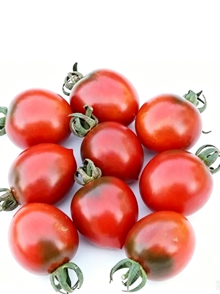 935 Centiflor Black Tomato