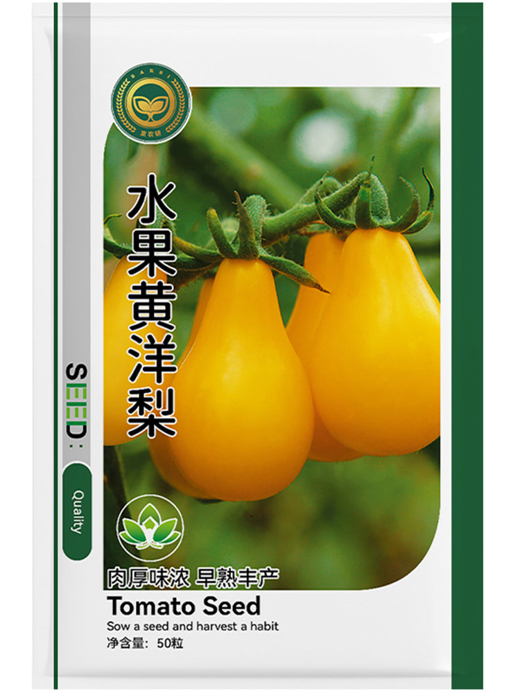 'Yellow Peach' Cherry Tomato