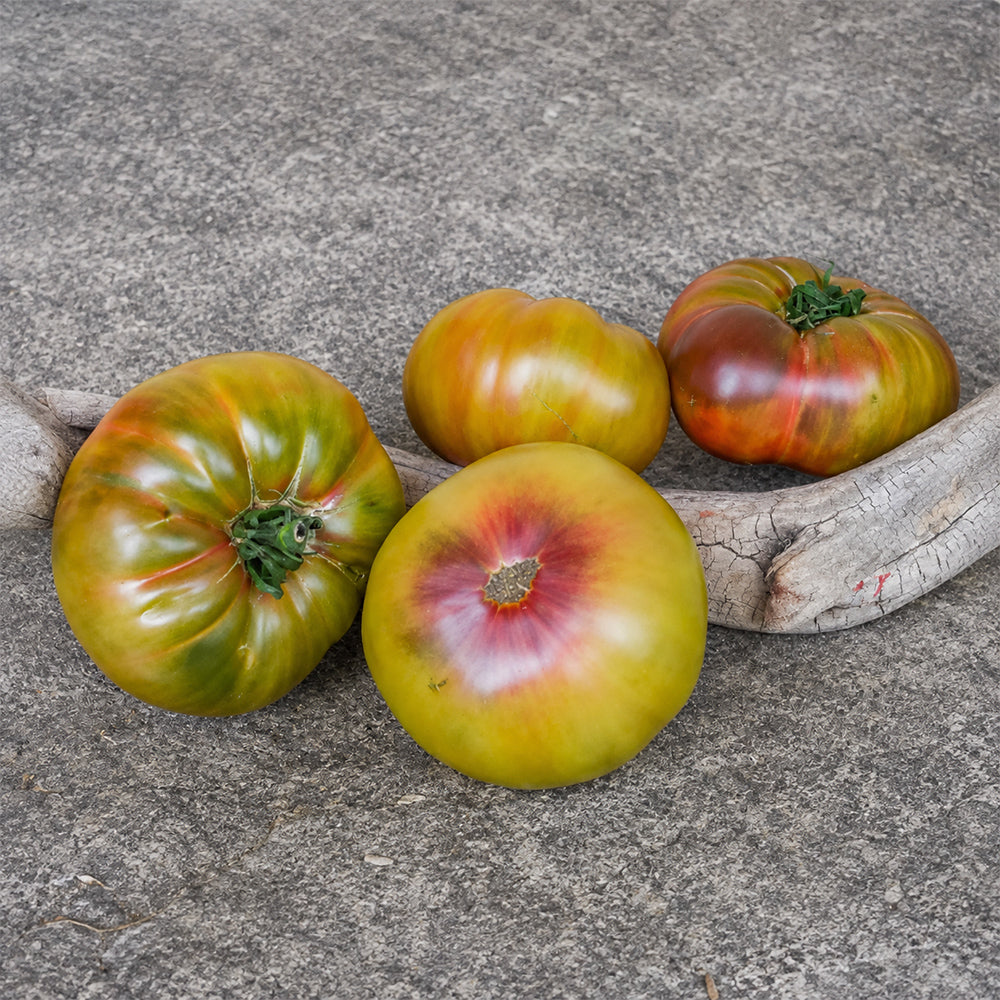 642 Thyme Purple Tomato