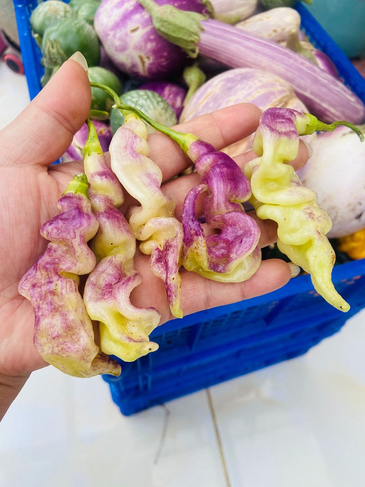 Aji Confusion Pepper