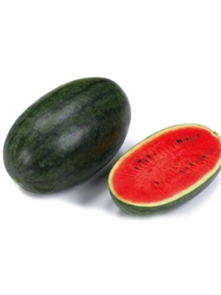 'Midnight Emperor' Black Beauty Watermelon