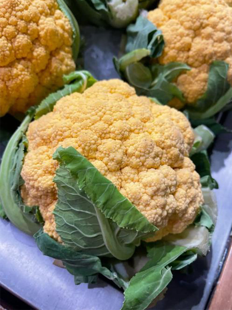 Orange Flower No.2 Cauliflowers