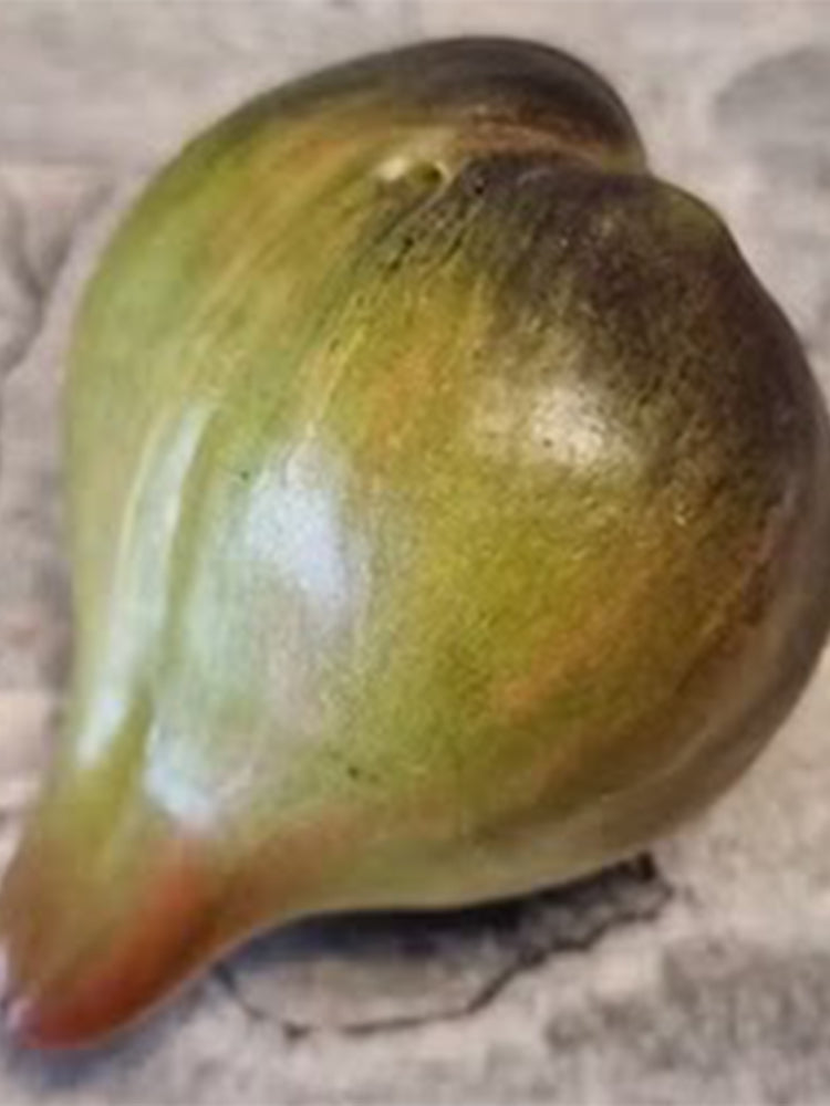 VT16 Tri-Color Tomato