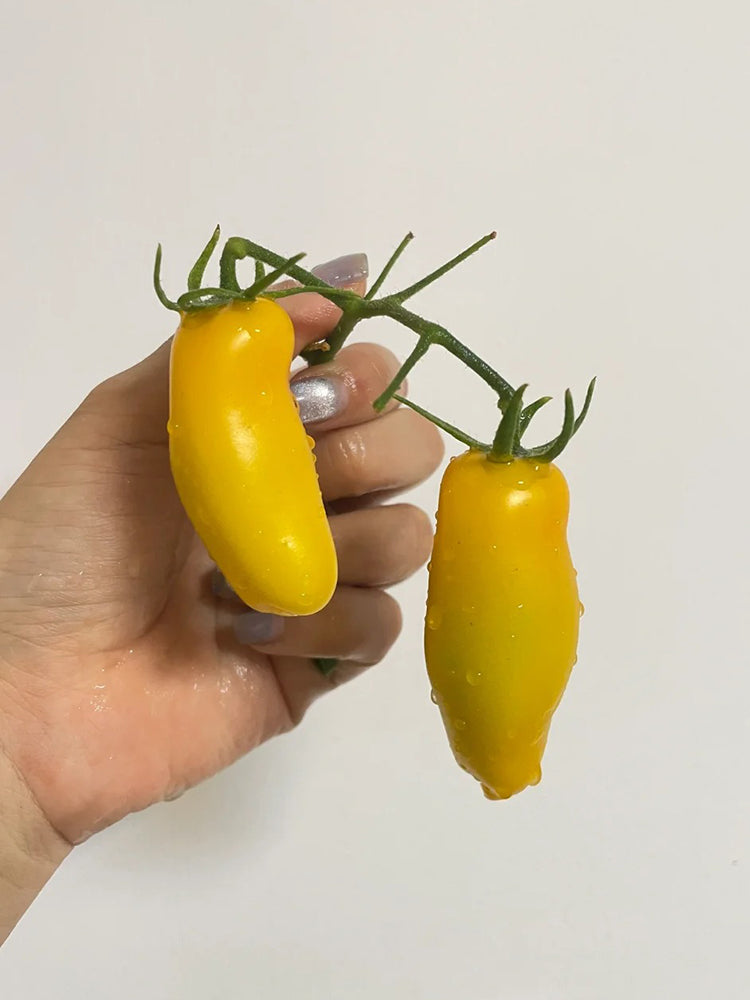 Yellow Banana Tomato
