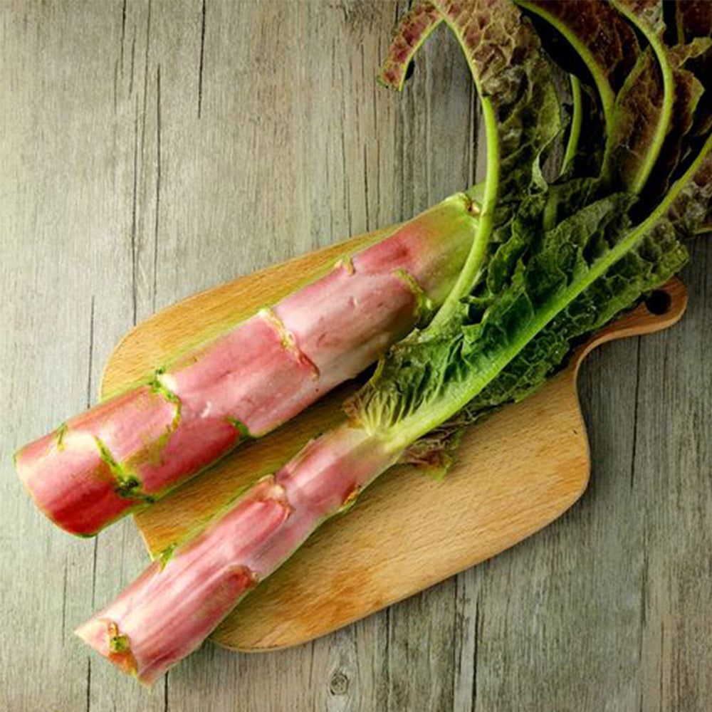 5 Bags (2000 Seeds / Bag) Red Asparagus Lettuce Seeds