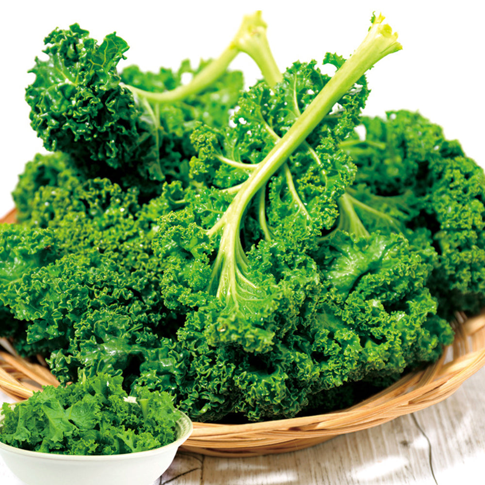 5 Bags (100 Seeds / Bag) of 'Blue Ridge' Kale
