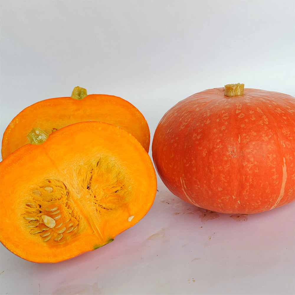 5 Bags of Red Babe Chestnut Pumpkin Seeds