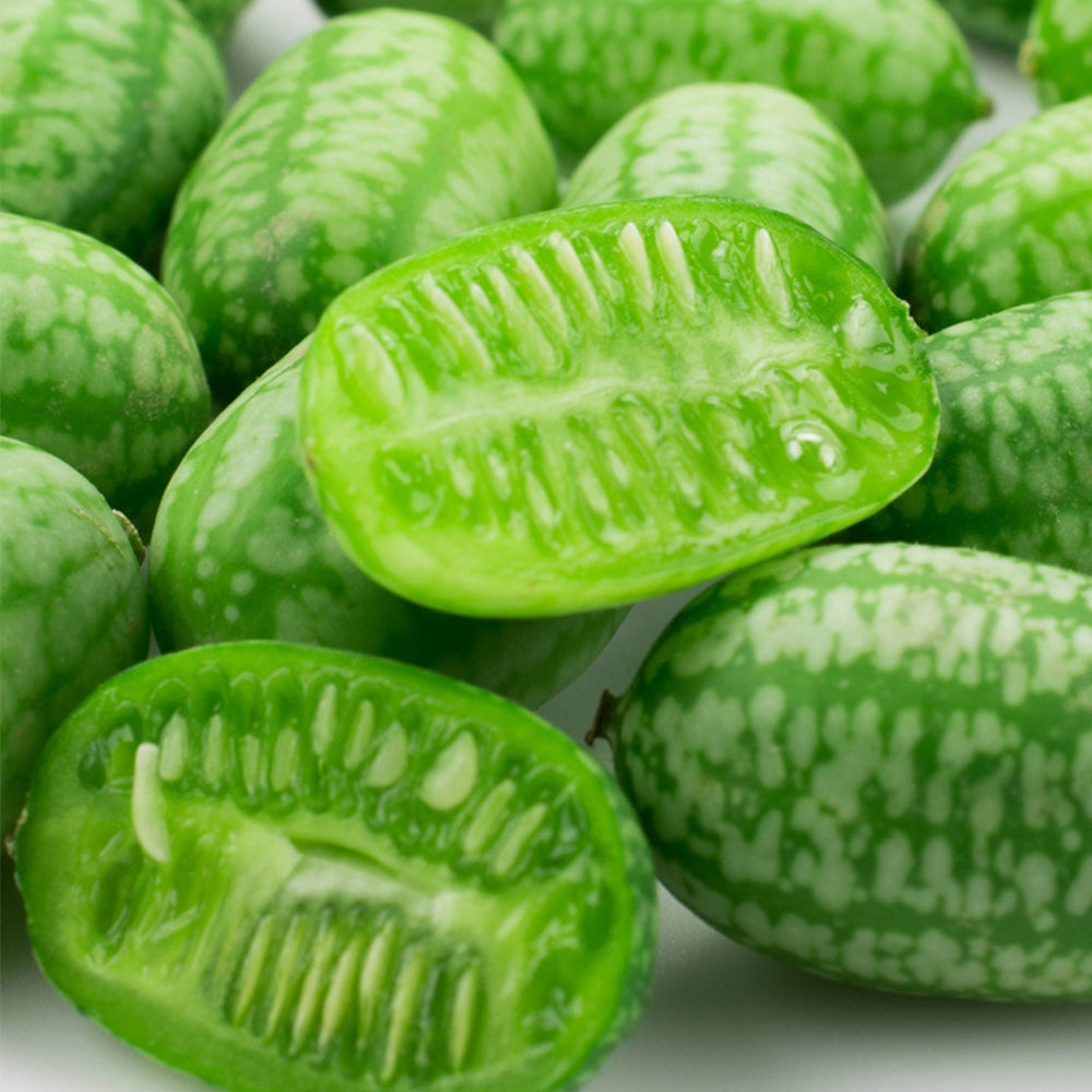 5 Bags (50 Seeds / Bag) of Cucamelons Seeds, Mexican Sour Gherkins