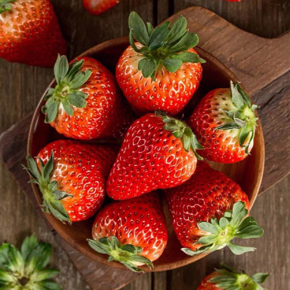 5 Bags (200 Seeds / Bag) of 'Akihime' Series Red Strawberry