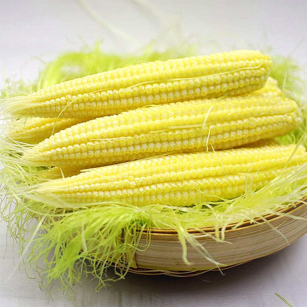 Take Your Crop to the Next Level: 50 F1 Sweet Baby Corn Seeds