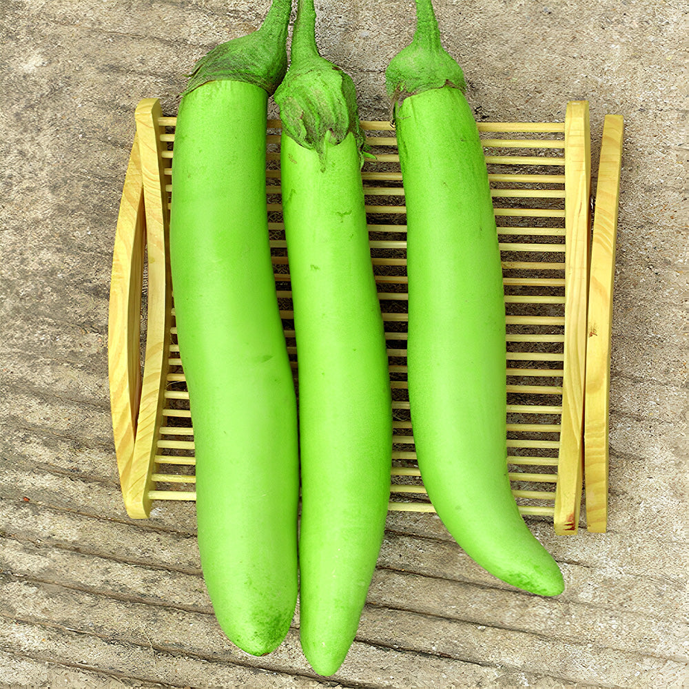 5 Bags (100 Seeds/Bag) of 'Green Dragon' Long Eggplant Seeds