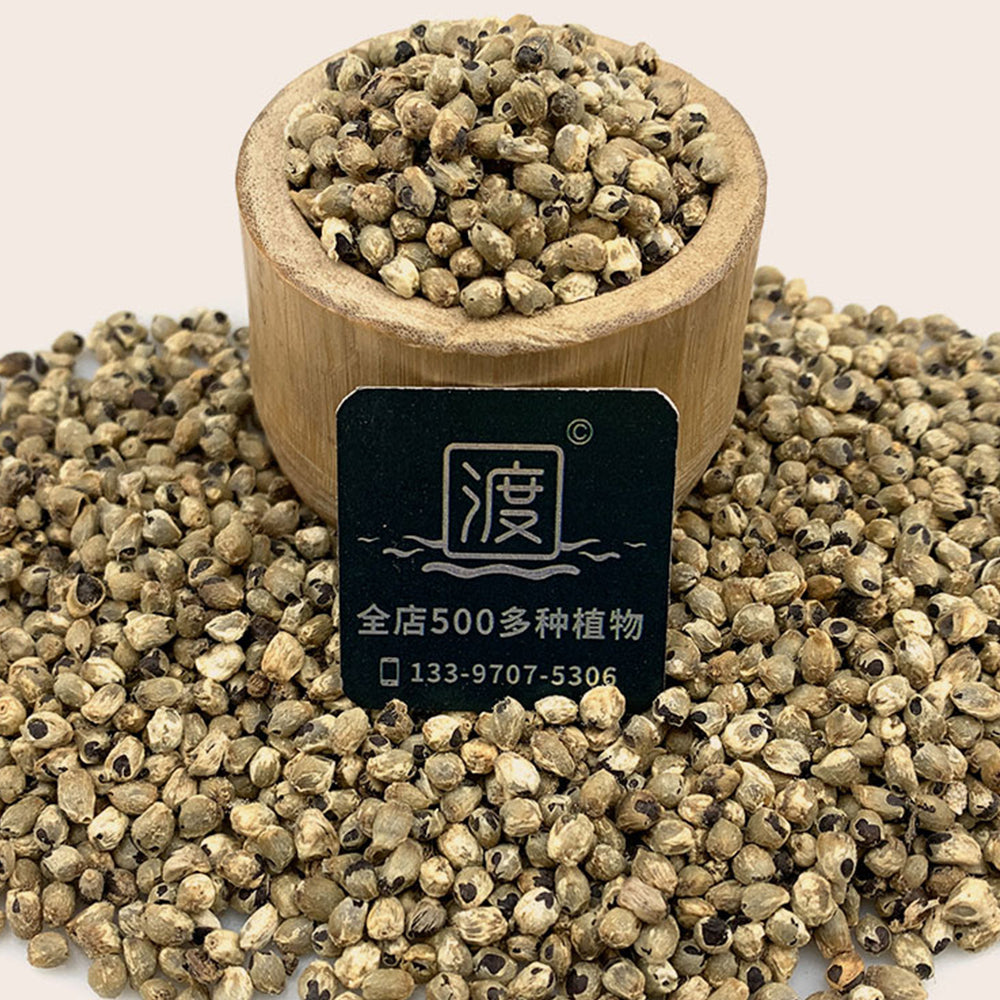 Bellfarm® Myoga Ginger Seeds
