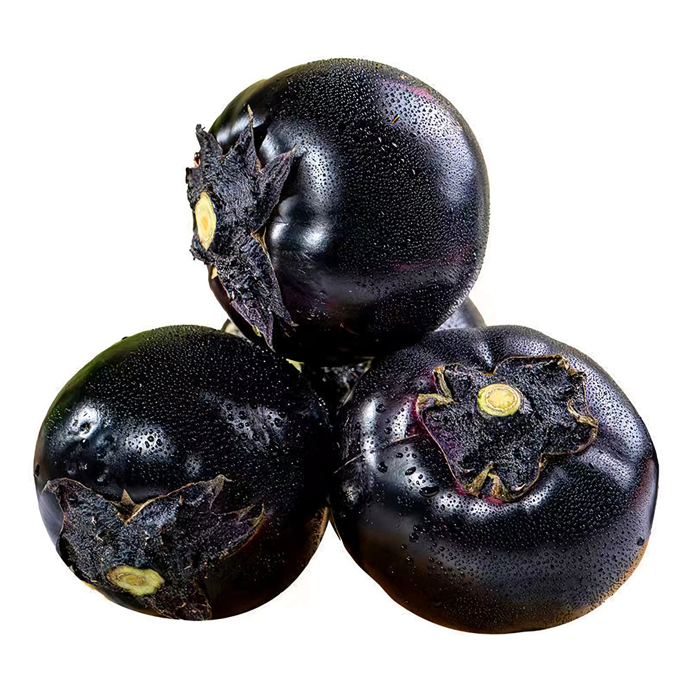 5 Bags (50 Seeds/Bag) of 'Black Boss' Round Eggplant Seeds