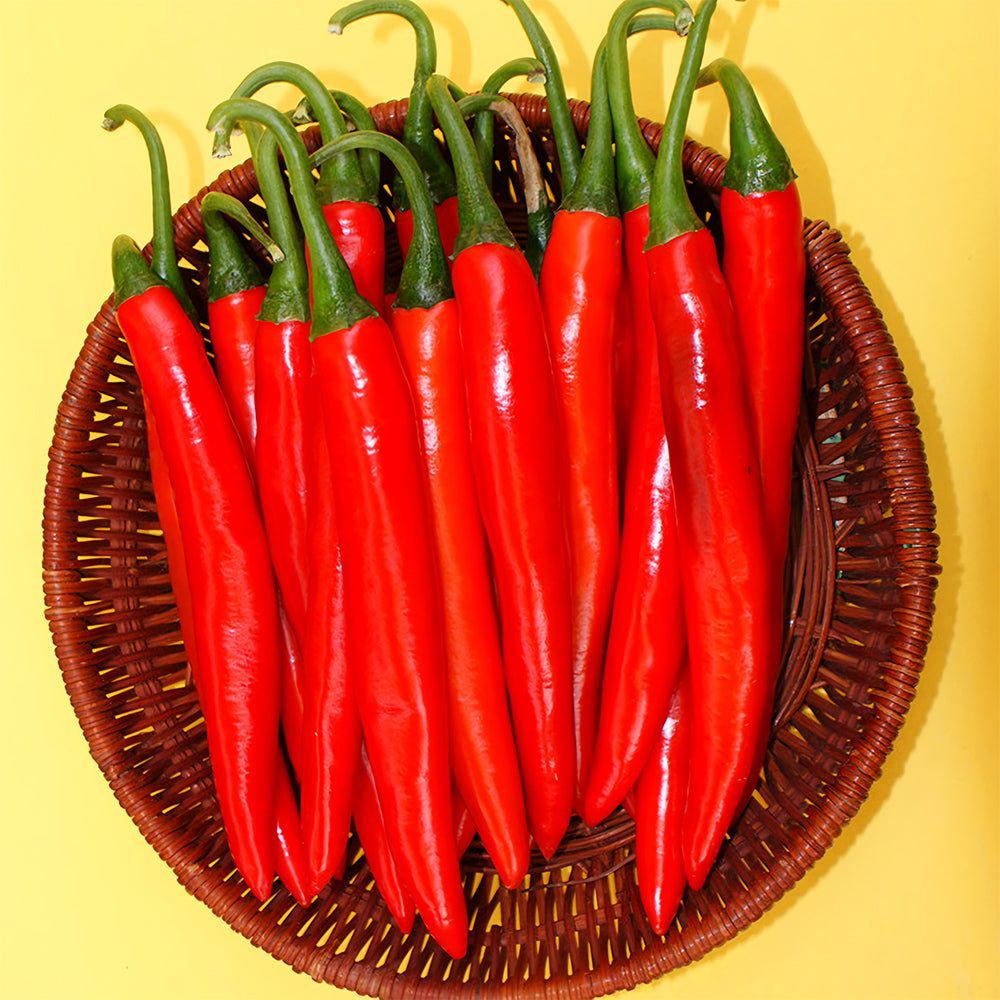 Flame-kissed Delight: 5 Bags (200 Seeds/Bag) of Red Hot Chili Pepper Seeds
