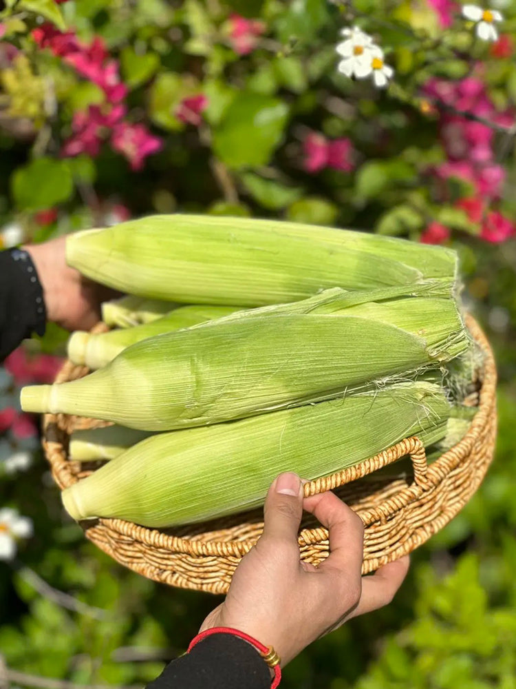 Milk Fruit Sweet Corn